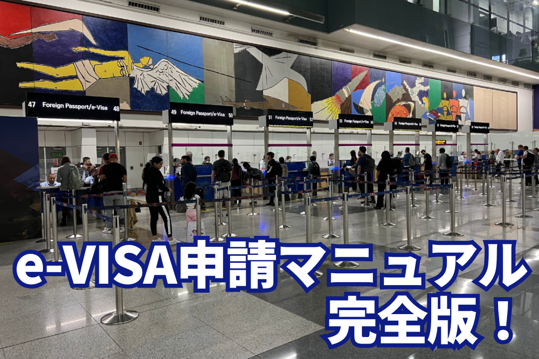 e-VISAのイミグレーション