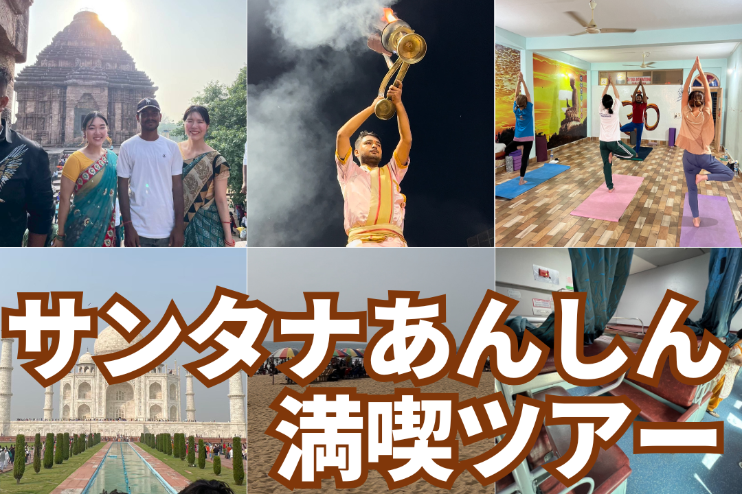 ツアー内容