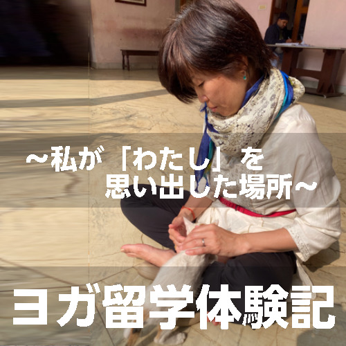 カヨちゃんの体験記