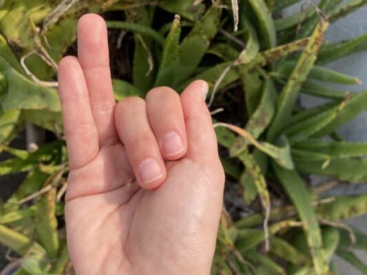 思考と感情が安定します