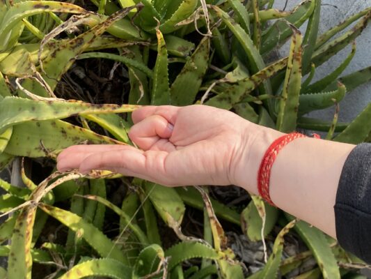 リラックス効果があります