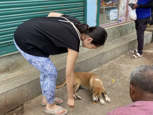 カルマヨガの実践でわんちゃんにビスケットを