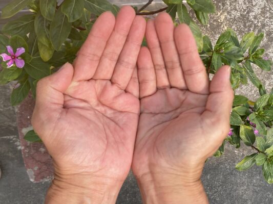 お水を太陽に捧げたこの手の中にパタンジャリは現れたとされています