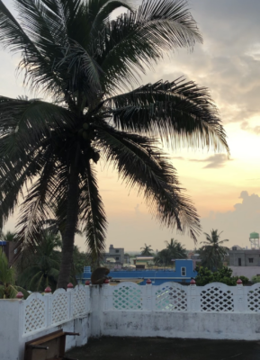 サンタナロッジ屋上からの景色