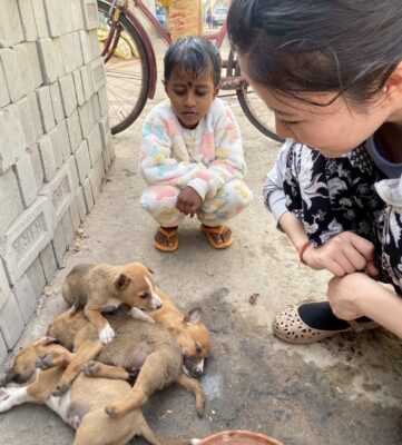 近所の子と子犬を見守るのが日課